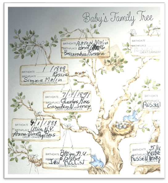 Week 1: In the&nbsp;Beginning